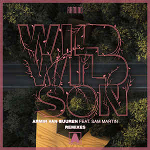 Armin van Buuren feat. Sam Martin - Wild Wild Son (Richard Durand Remix)